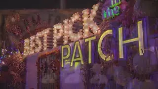 Weekend Break: Jack's Pop Up Pumpkin Patch