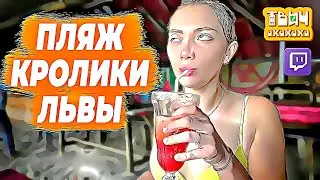 Волны, Пляж, Кролики, Львы. 🤣 Твич Нарезки