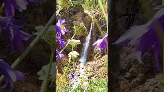 Шумакский водопад 