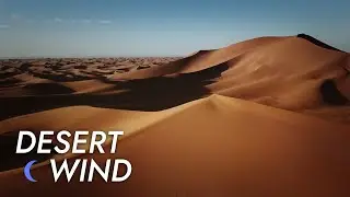 Desert Wind Sound - 10 Hours - Stress Relief | Meditate - Sleep - Study | Desert Winds