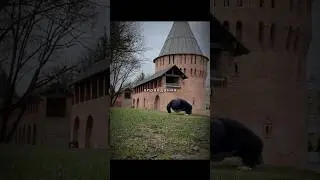 Оправдания можно найти всегда! #shorts #дисциплина #спорт