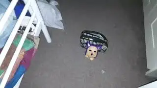 RARE TATTLETAIL PLUSH FROM 1999!!