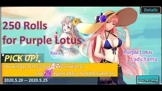 250 Rolls for Purple Lotus Yama!! (Night Agent)