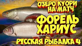 русская рыбалка 4 - Форель Хариус озеро Куори - рр4 фарм Алексей Майоров russian fishing 4