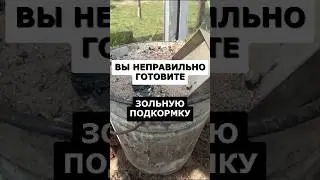 Вы неправильно делаете зольную подкормку 