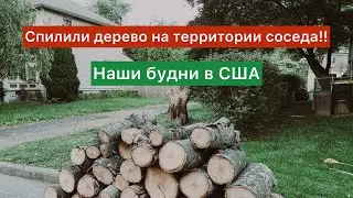Спилили дерево на территории соседа!! Наши будни в США.
