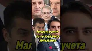 Пеевски - Малките кучета са се върнали в кучкарника #радев #пеевски