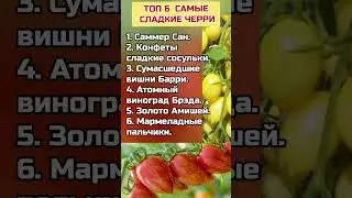 ТОП 6 Самые Сладкие Черри Томаты 