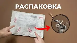 САМЫЕ ИНТЕРЕСНЫЕ ЕВРОПЕЙСКИЕ МУРАВЬИ
