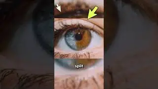 Incredible Rare Photos That Will Leave You Speechless | Part 148