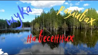 Вся рыба на разливе. Спиннинг и нецепляющая незацепляйка.