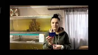 Номер карты, на которую нужно отправлять помощь для зоопарка в селе Придорожном под Донецком.
