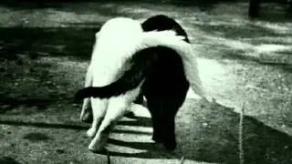 В.Высоцкий Диалог у телевизора.mp4