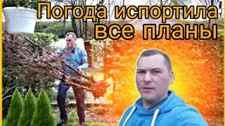 Работа на даче / Много работы, погода не даёт ничего делать