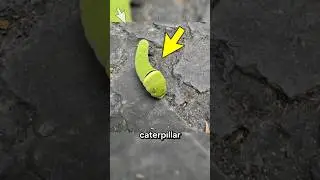Incredible Rare Photos That Will Leave You Speechless | Part 134