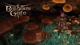 Baldur's Gate 3 | Прохождение #11 | Спуск в Подземье | 🦊