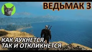 Ведьмак 3 - Достижения - Как получить достижение 