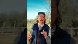 INTERVENTI ASSISTITI CON IL CAVALLO 🐴 benefici: migliorare l’equilibrio