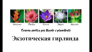 Карина Ба́рас. Экзотическая гирлянда