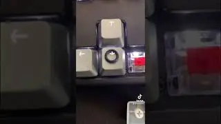 Make Your Mechanical Keyboard Quieter! 