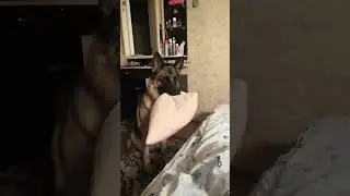 Пустите к себе на кровать☺️