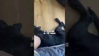 Ложимся спать😴