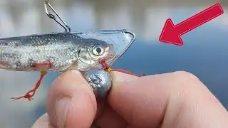 Lure of the Future - Fishing Revolution !!!