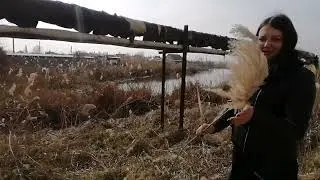 Идём в Светофор. Наш любимый Приморско-Ахтарск.