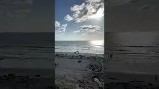 Америка 2023, Калифорния, San Diego, 