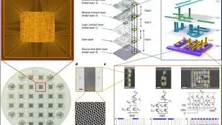 RISC-V 32-bit Microprocessor with 2D Semiconductors: A Technological Breakthrough