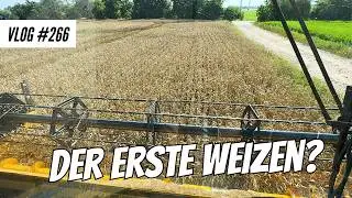 Vlog 