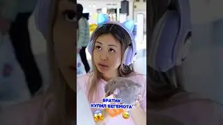 Братик купил бегемота 
