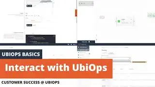 Interact with UbiOps
