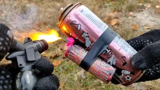 ✅🔥Взрываем ПЕТАРДЫ 24 часа в ЛЕСУ💣Мощная Петарда VS  Газовый Балон💥Запустили Ракету, тест Бомб🔴ч.8