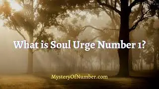 What is Soul Urge Number 1 | Numerology