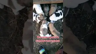 Геля сегодня уезжает, подробности в комментариях
