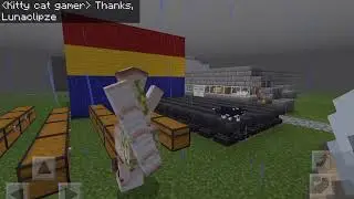 Testing the name “Dinnerbone” on a Iron golem! ~requested~