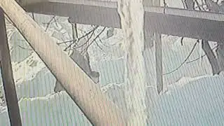 11 февраля 2024 г.