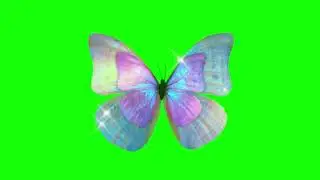 Colorful Butterfly Flying Animation on Green Screen | 4K | FREE TO USE