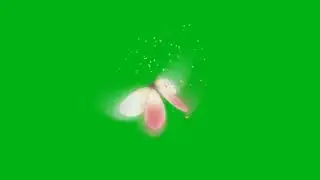 Animated Butterfly Green Screen Effects