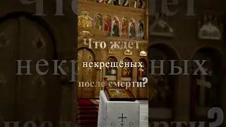 Что ждет некрещёных после смерти? Священник Антоний Русакевич