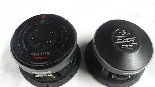 Минус уши  или Заруба Dynamic State FORCE FM165 и Apocalypse AP-M67AF ( бой быков)