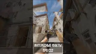 Интересные Факты про CS2! 