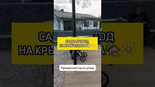 Уникальный дом с садом на крыше #shorts