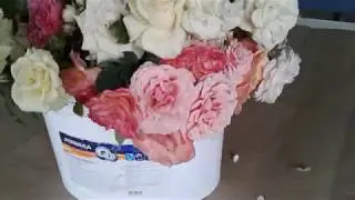 сбор заказов, букеты из роз, питомник роз полины козловой. rozarium.biz