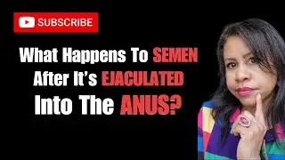 Where Does Semen Ejaculated In The Rectum Go?
