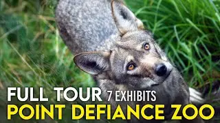 Zoo Tours: The Point Defiance Zoo | FULL TOUR