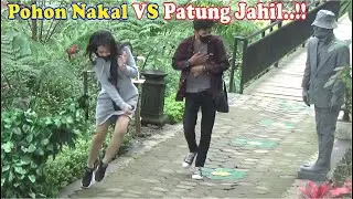 Statue prank VS Bushman Prank..!! Living statue and tree man