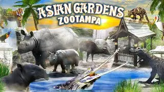 Zoo Tours: Asian Gardens | ZooTampa at Lowry Park (1988)