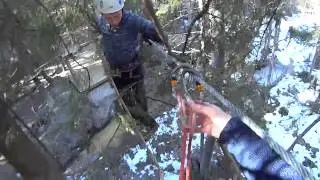 Кошкино Парк